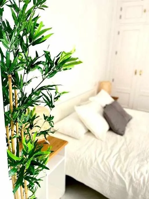 Apartamento Tranquilo En Barrio Bohemio Seville Spain