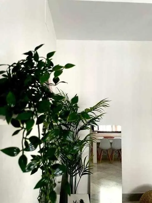 Apartment Apartamento Tranquilo En Barrio Bohemio Seville Spain